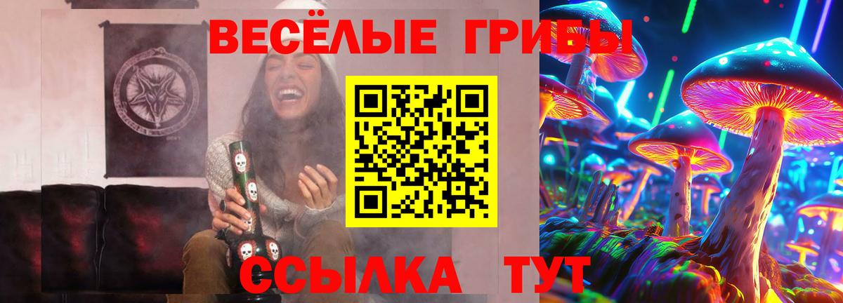 Галлюциногенные грибы GOLDEN TEACHER  Вход с VPN  Камень-на-Оби  Галлюциногенные грибы Cubensis 